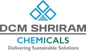 DCM-Logo
